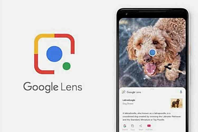 Google Lens İçin İnternet Bağlantısına Gerek Kalmadı